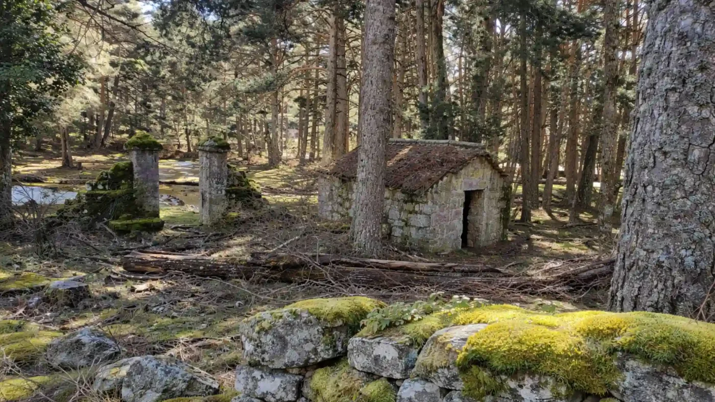 Construcción tradicional de piedra entre los pinos